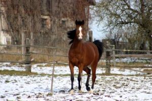 199_9968 Kopie_k.jpg